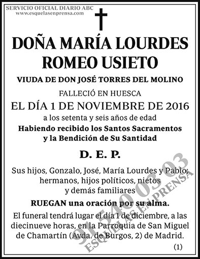 María Lourdes Romeo Usieto